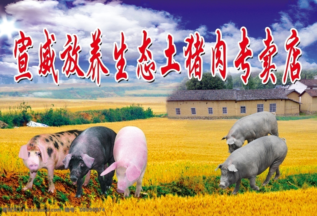 生态土猪肉 生态 农房 水稻 蓝天 白云 psd素材 自然风光 自然景观