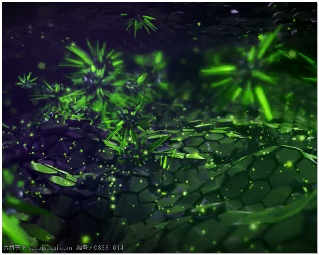 3d 动画 视频 绿色 荷叶 光芒 视频素材 动态视频素材