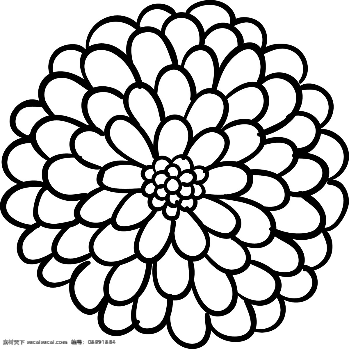 美丽 的卡 通 手绘 花 漂亮 卡通 素描 花卉 线条 艺术 黑色 白色