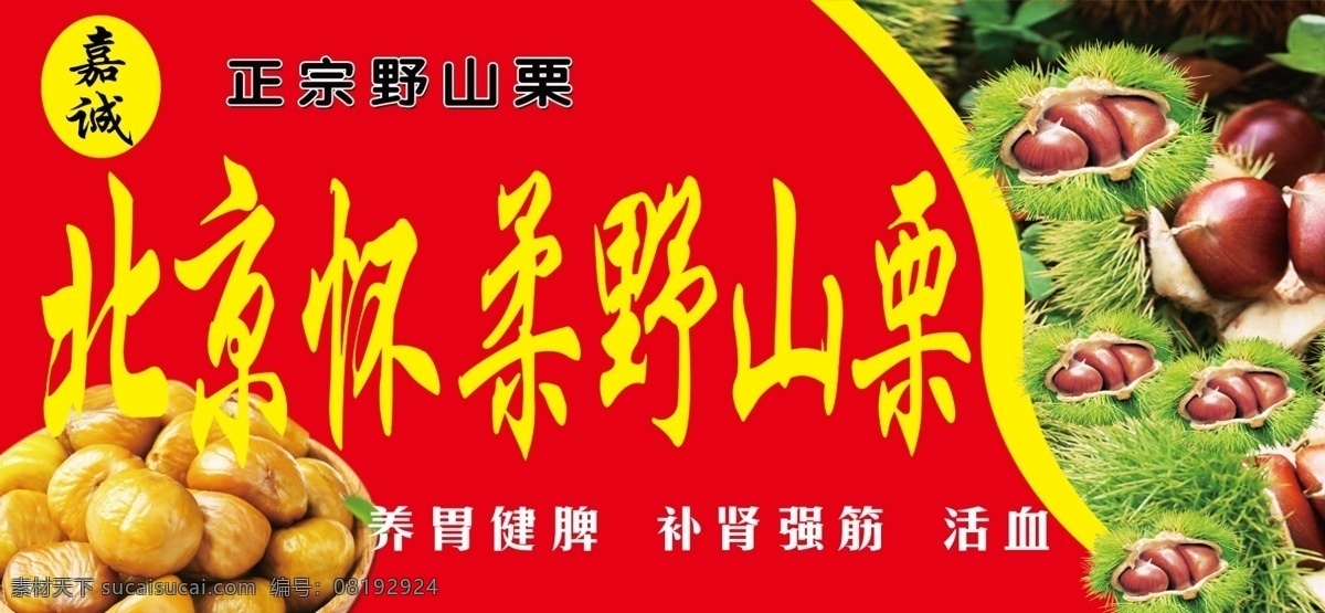 板栗 北京 野山栗 红色 小吃