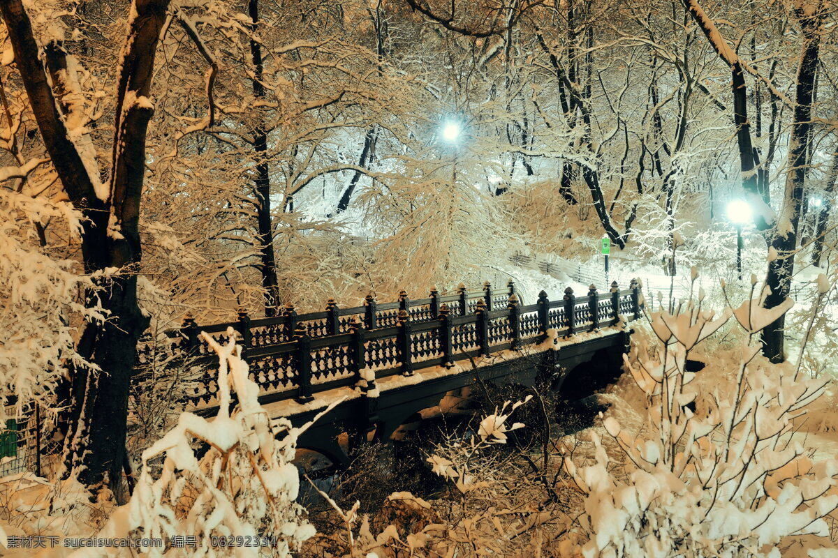 唯美冬季小桥 冬季 冬天 冬日 夜景 雪景 寒冷 唯美 文艺 唯美雪景 丛林 树林 大桥 桥 小桥 大树 积雪 雪地 雪花 大雪 白雪 枝头 树枝 挂满 灯光 路灯 冬季风光 冰 自然景观 自然风景