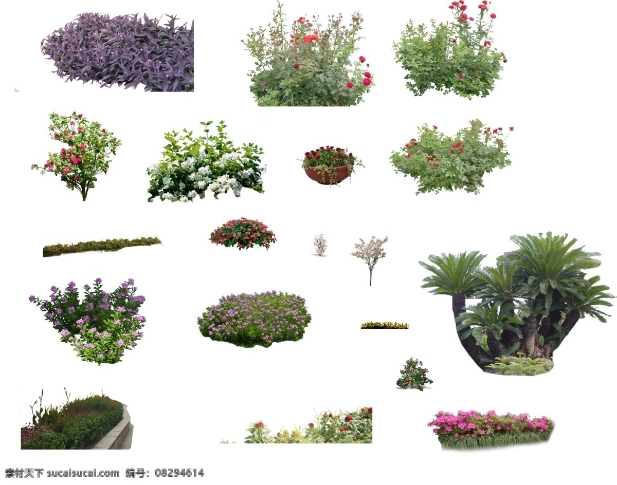 花花草草 景观小品 景观元素 草坪素材 花台素材 效果图 合成 绿植 草皮 公园 树 贴图 合成素材 草 石头 分层素材 绿篱 灌木 乔木 花草树木 建筑 分层