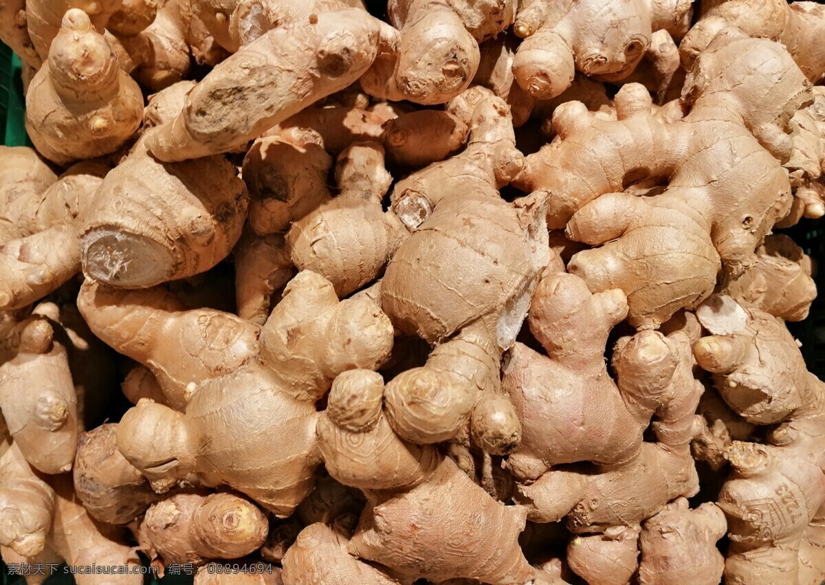 生姜图片 生姜海报 生姜 生姜简介 生姜包装 生姜展架 生姜作用 生姜调味 生姜调料 生姜养生 生姜文化 生姜展板 生姜宣传 生姜广告 生姜宣传广告 生姜画册 姜素材 姜图片 老姜 姜茶 姜汤 姜糖 姜包装 姜片 安姜 姜文化 姜黄 姜 姜海报 姜展板 姜画册 姜广告 姜块 姜丝 果蔬干果 生物世界 蔬菜