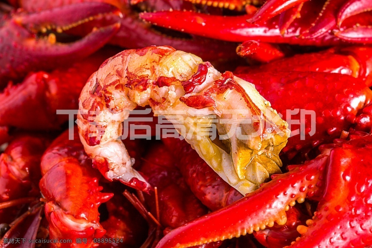 小龙虾图片 小龙虾 小龙虾美图 小龙虾摄影 小龙虾海报 小龙虾易拉宝 小龙虾展架 小龙虾宣传单 小龙虾dm 小龙虾广告 小龙虾上市 新鲜小龙虾 新品小龙虾 美味小龙虾 蒜香小龙虾 五香小龙虾 水煮小龙虾 卤虾 啤酒小龙虾 麻辣小龙虾 香辣小龙虾 美食小龙虾 十三香小龙虾 蒜蓉小龙虾 清蒸小龙虾