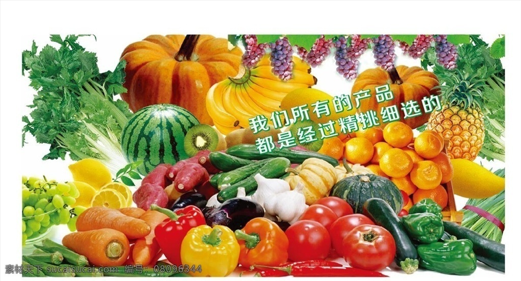 蔬菜水果 蔬果大集合 优选蔬果 农贸 水皮批发 生鲜窗贴