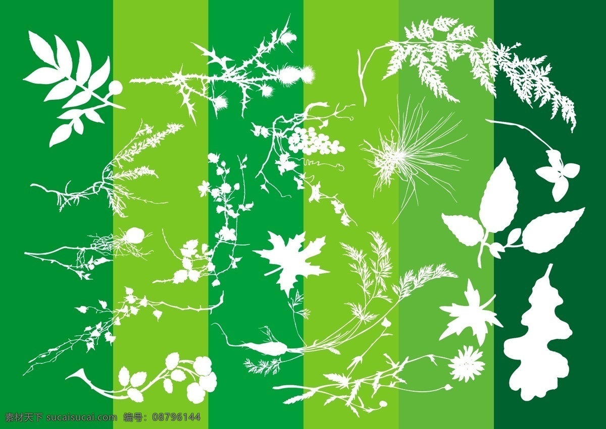 植物 自然 轮廓 图形 植物背景 药材 绿色背景 矢量图