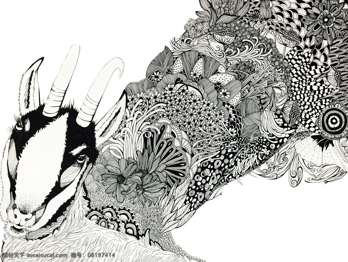 黑白 线描 插画 动物 植物 手绘 文化艺术 绘画书法