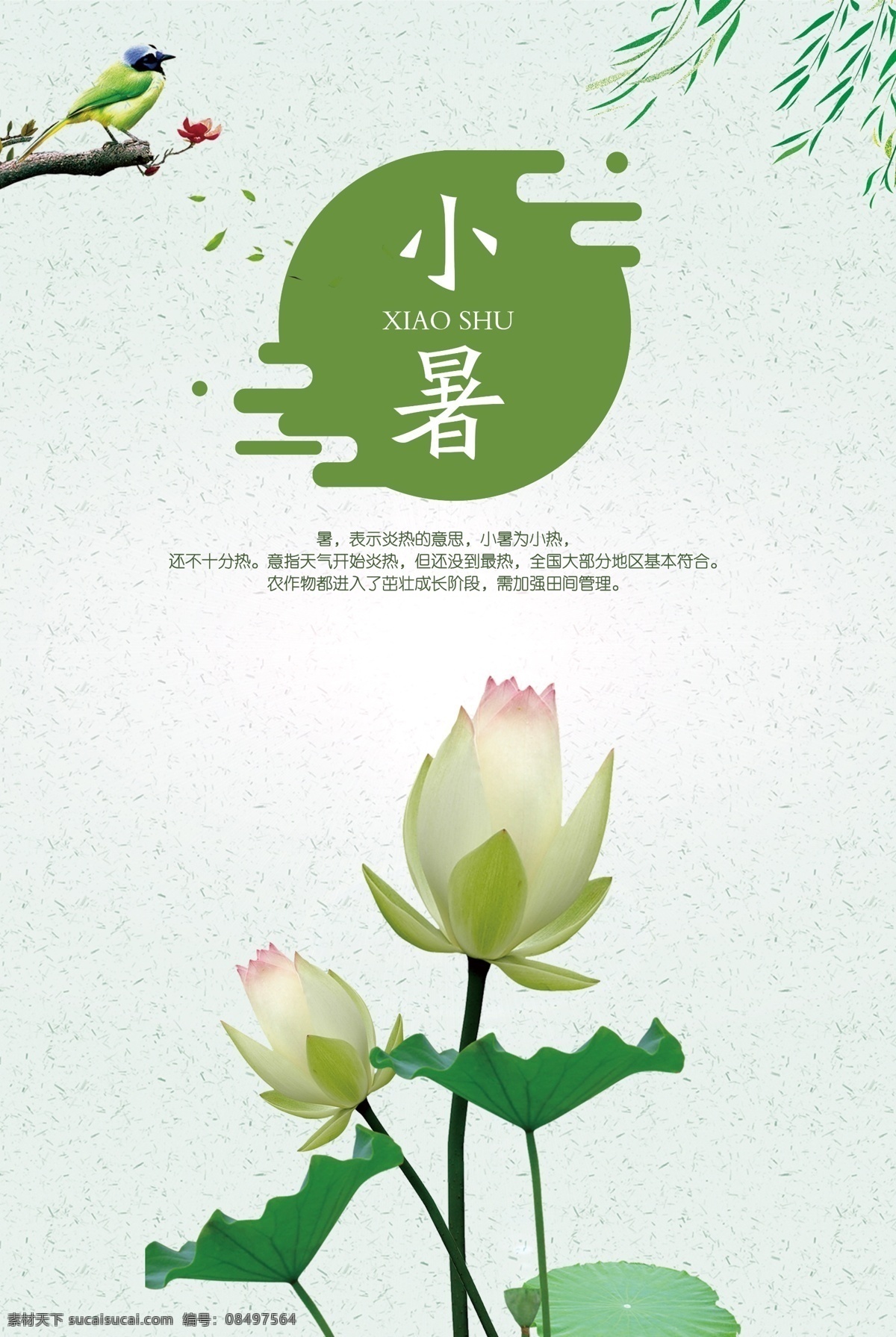 小署 二十四节气 传统文化 节气 夏天 荷花 水波 鸟 柳树 海报