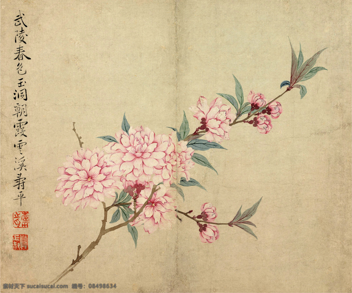 桃花 国画 花卉图冊 传统 花鸟 绘画书法 文化艺术