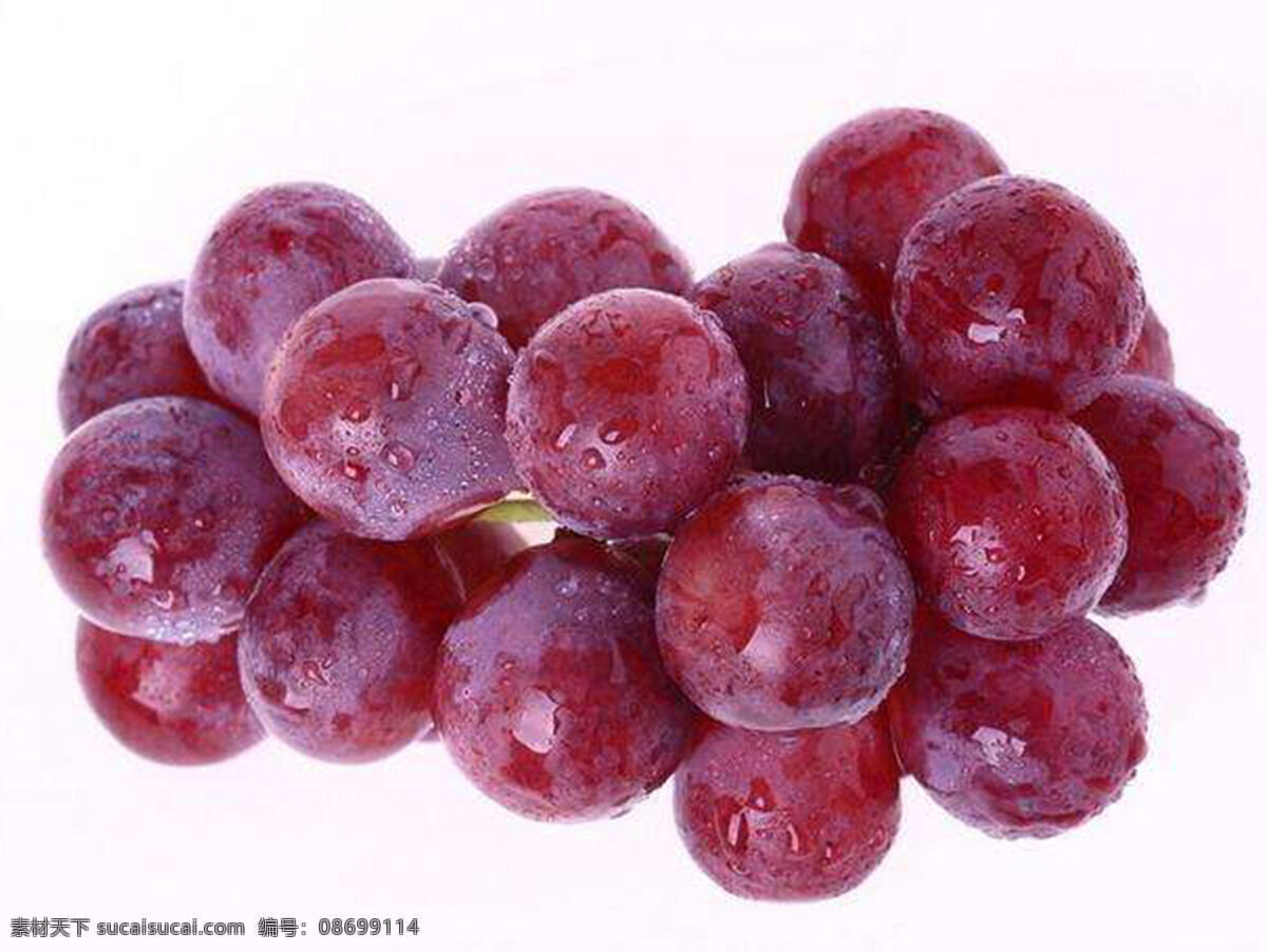 葡萄图片 葡萄 水果 果子 新鲜 生物世界