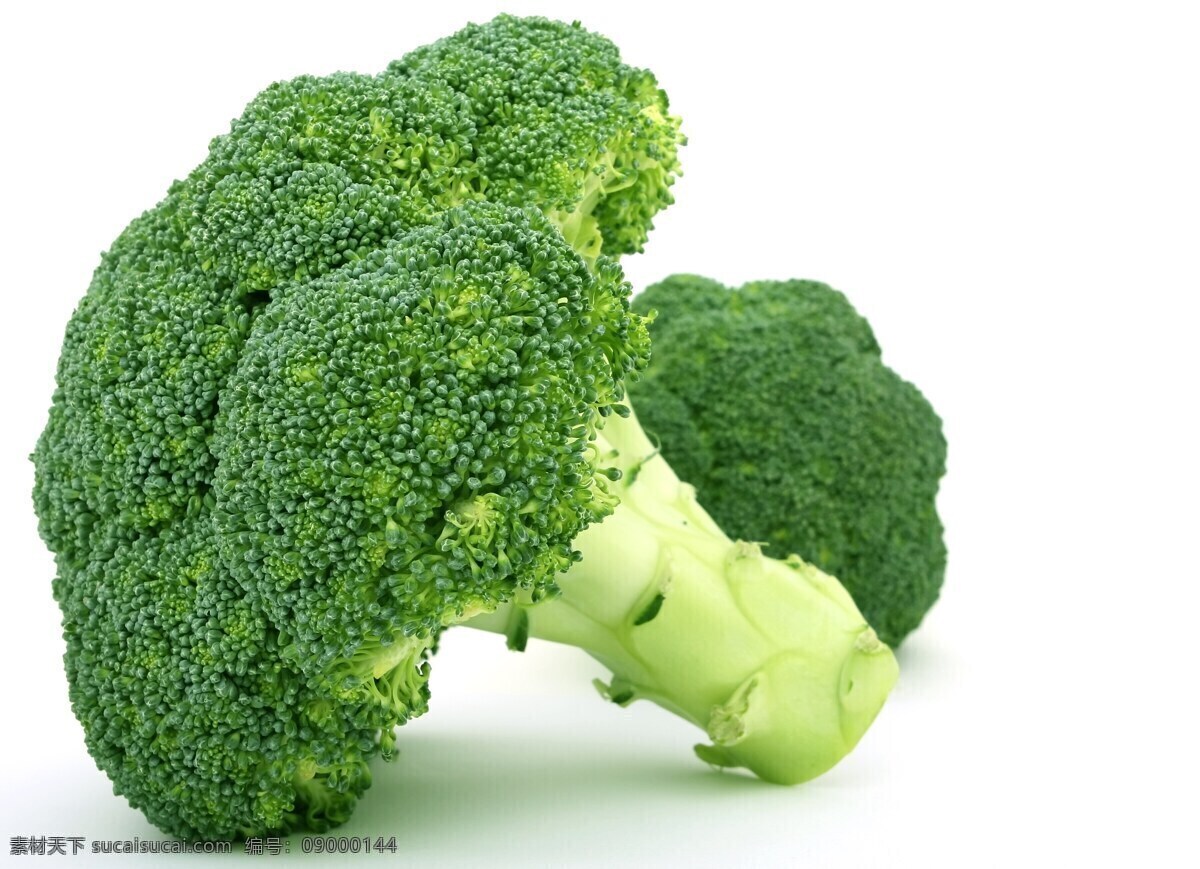 西兰花图片 西兰花 食材 蔬菜 绿色蔬菜 元素