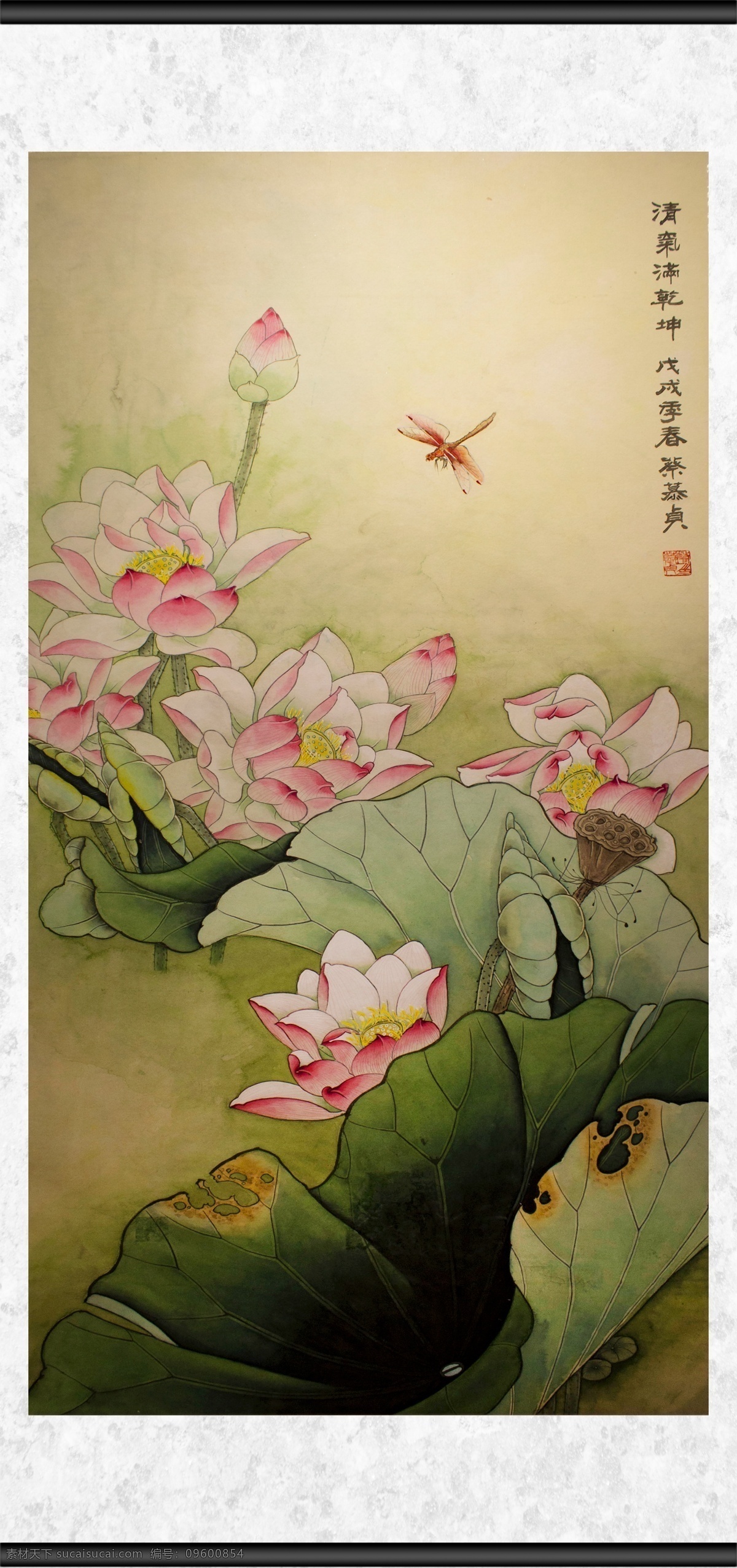 清气满乾坤 清气 满乾坤 植物 花卉 观赏 蜻蜓 荷塘 荷叶 绘画 文化艺术 传统文化