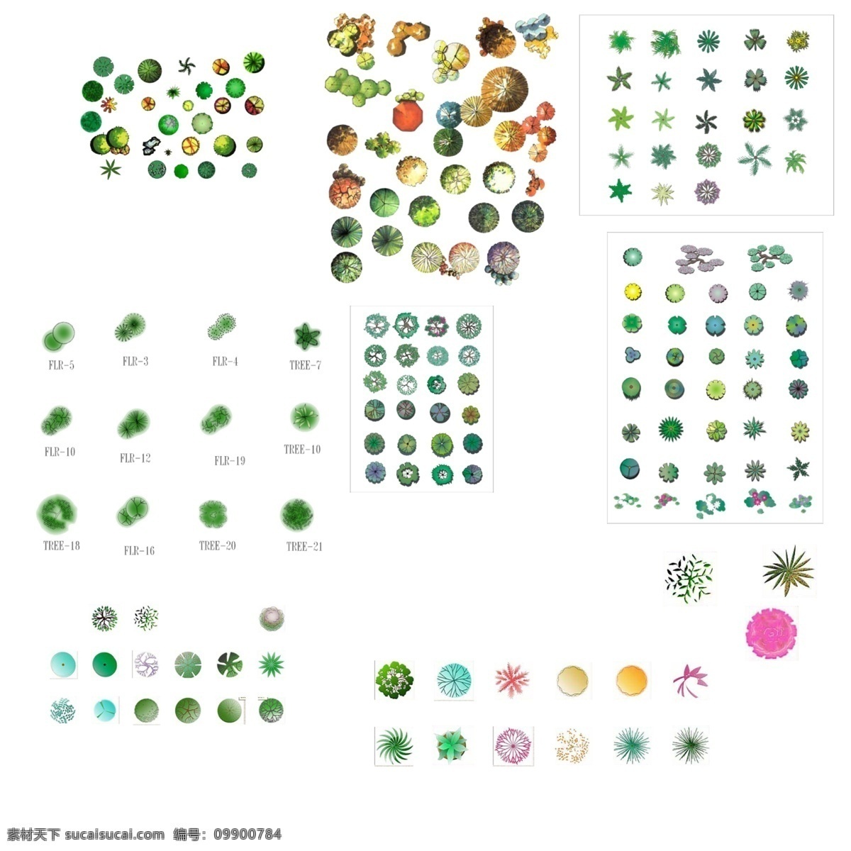 园林 植物 平面 彩图 建筑设计 景观素材 图纸 cad素材 建筑图纸