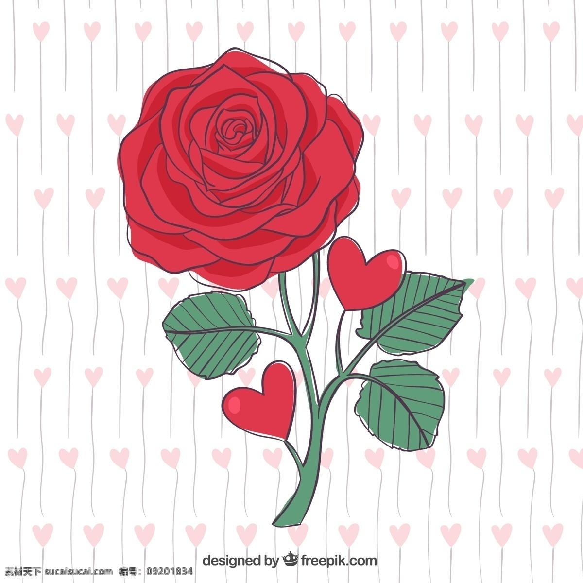 美丽 手绘 红玫瑰 花卉 自然 玫瑰 红色 情人节 目前 抽纱 花瓣 图标 高清 源文件