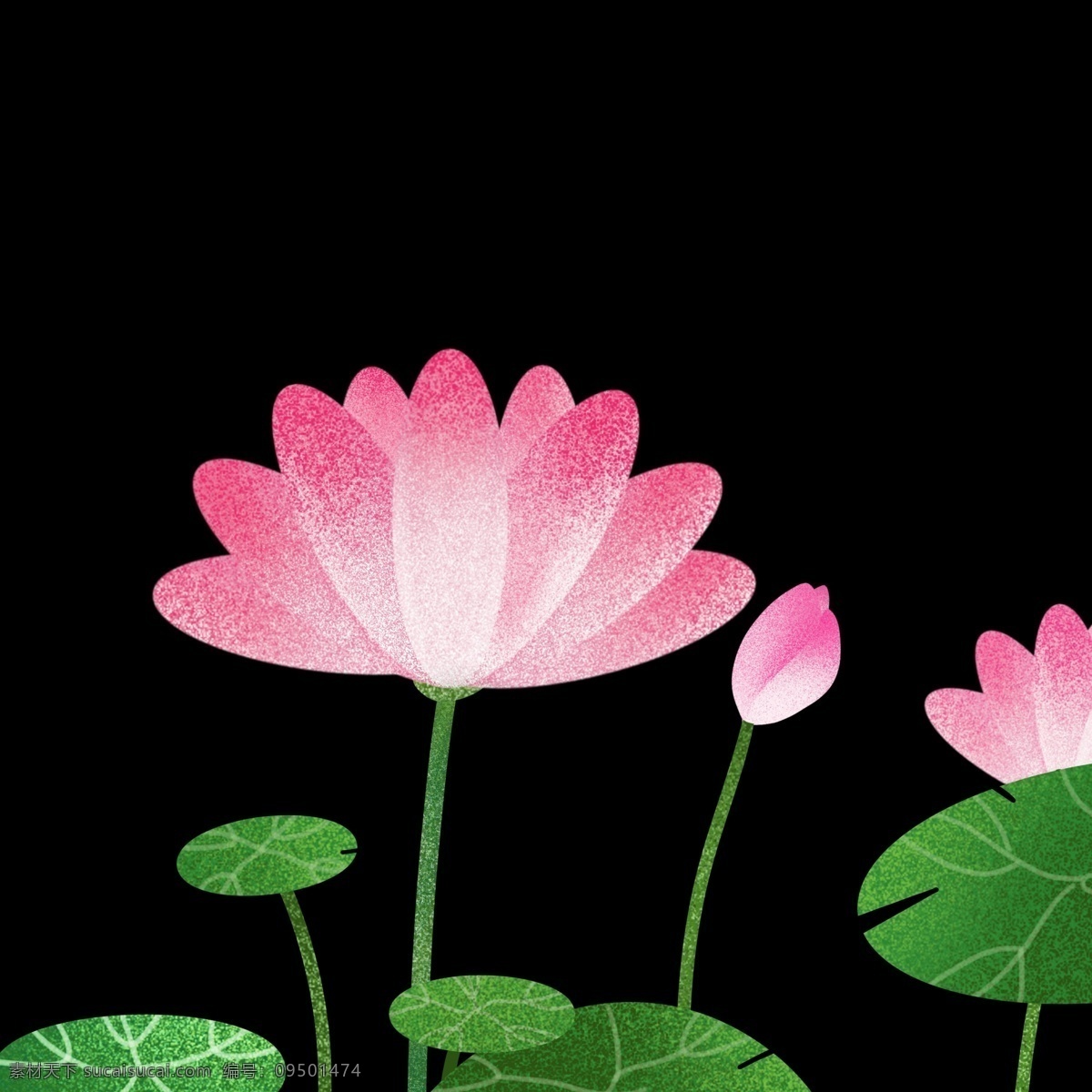 粉色 简约 插画 风荷 花海 报 装饰 免 抠 图 荷花 手绘插画 带 肌理 中国 风海 莲花 节日海报 粉色花卉 手绘花朵