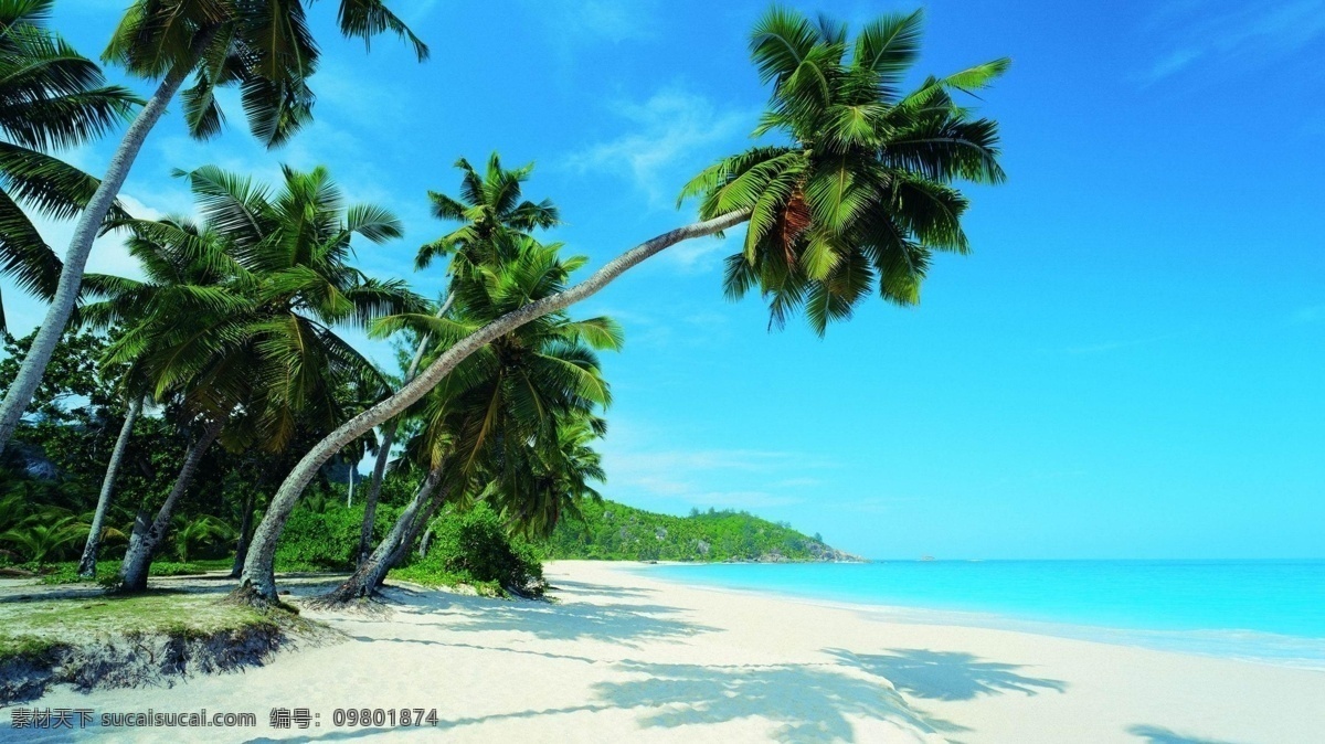 画 美景 海滩 海洋 绿草 天空 椰树 自然风景 自然景观 如画的美景 psd源文件