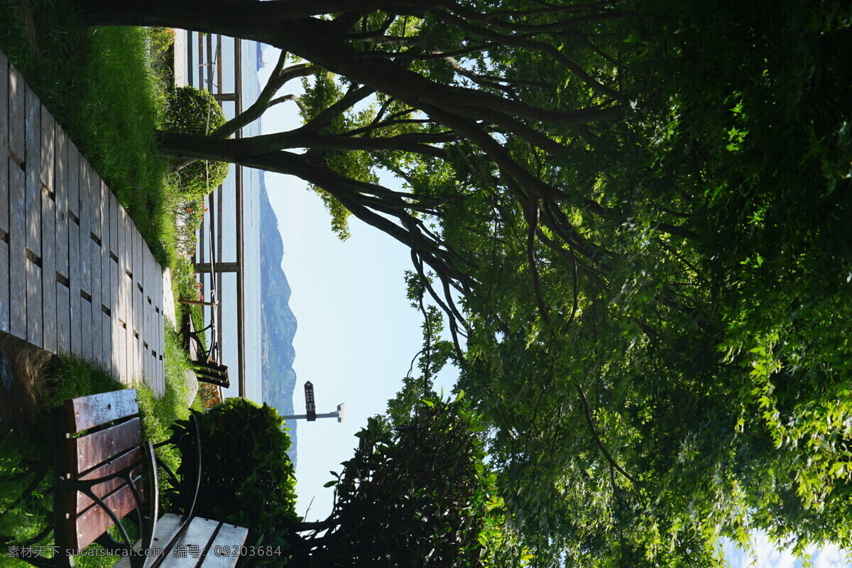 青岛 绿树 蓝色 大海 海船 风光 风景 旅游摄影 国内旅游