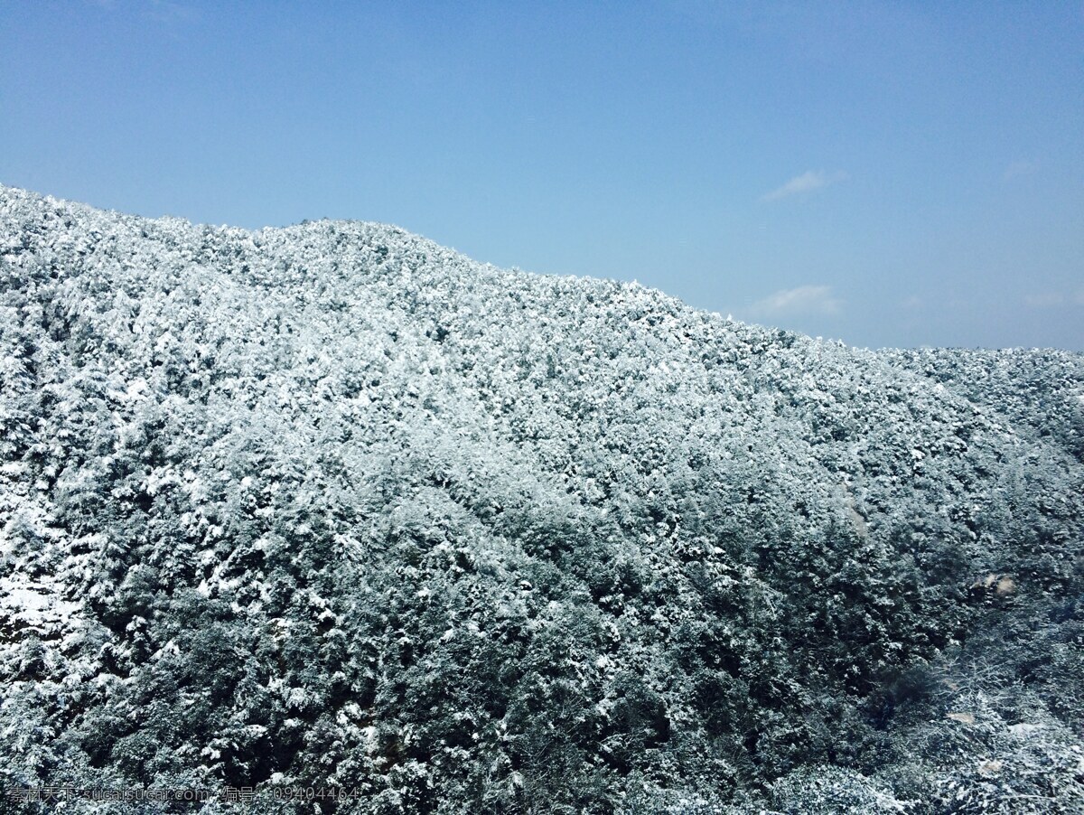 雪山 蓝天下的雪山 雪景 雪松 杭州雪景 灰色