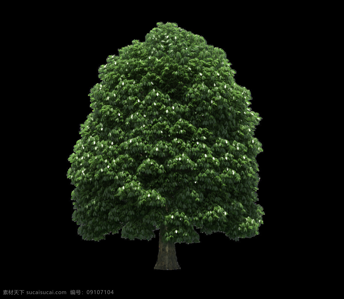 绿色 园林景观 植物 树木 元素 png元素 海报 环保 免抠元素 透明元素