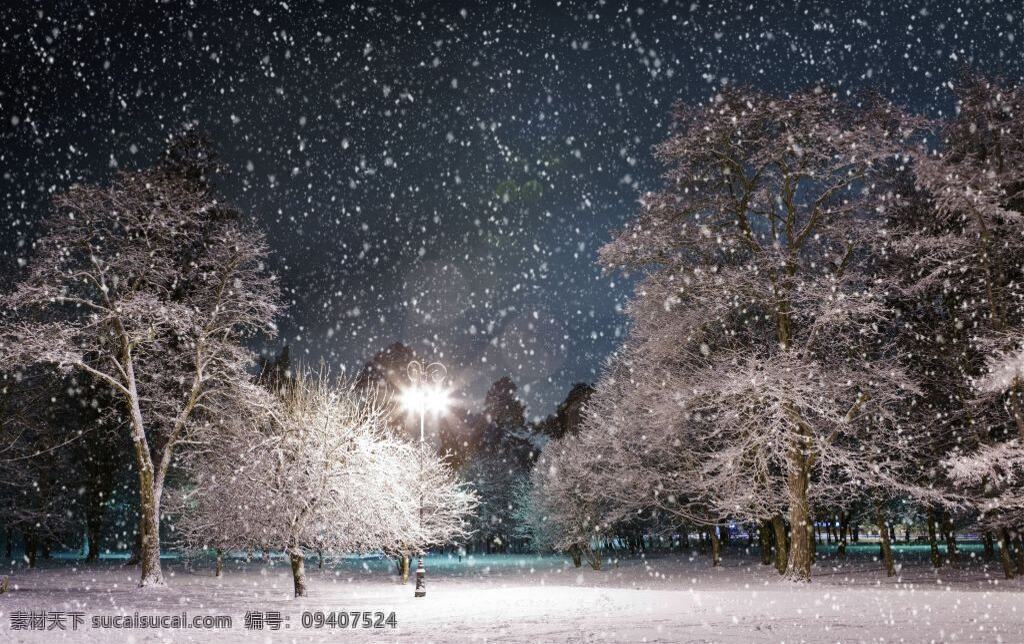 傍晚雪景树林 傍晚 雪景 雪景树林 黑色