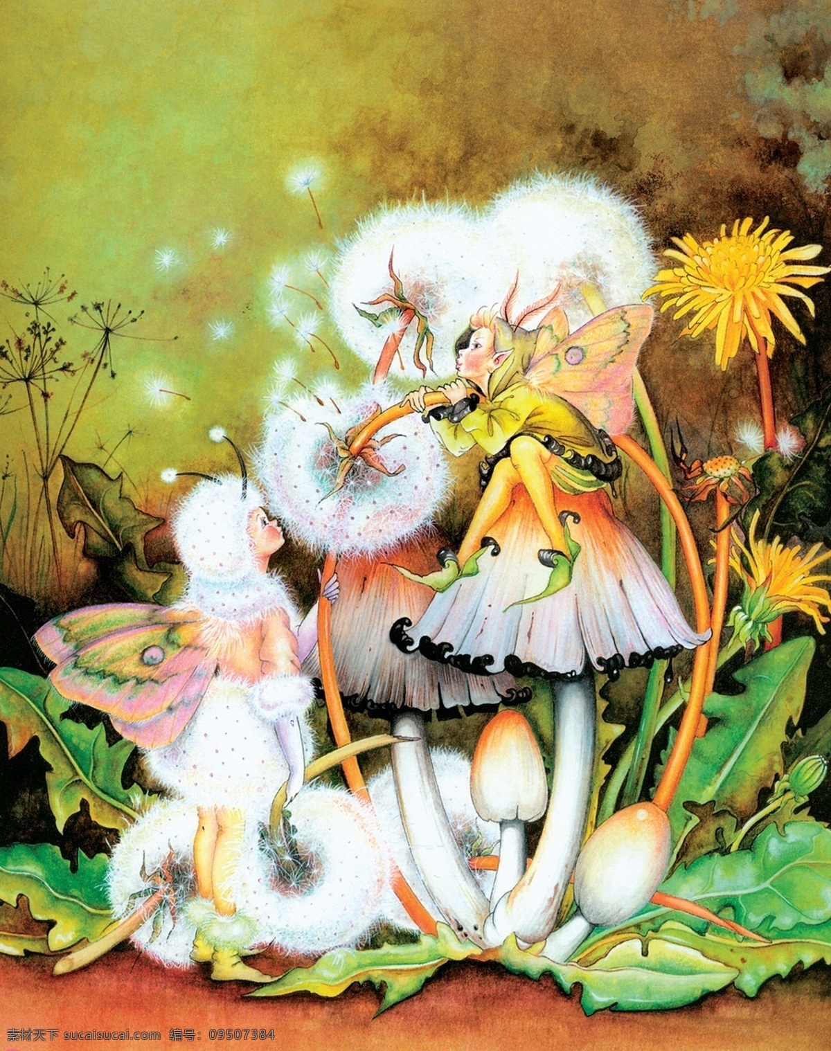 插画 插图 翅膀 动漫 动漫动画 动漫人物 蝴蝶 花 蒲公英与仙子 精灵 仙子 蒲公英 蜘蛛 叶子 欧洲 神话 童话 童话艺术图典 插画集