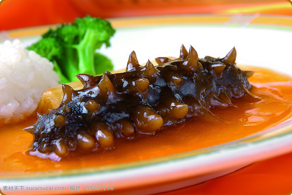 鲍汁海参 鲍汁 西兰花 扣饭 食品 美食 美味 食物 餐饮美食 传统美食 摄影图库