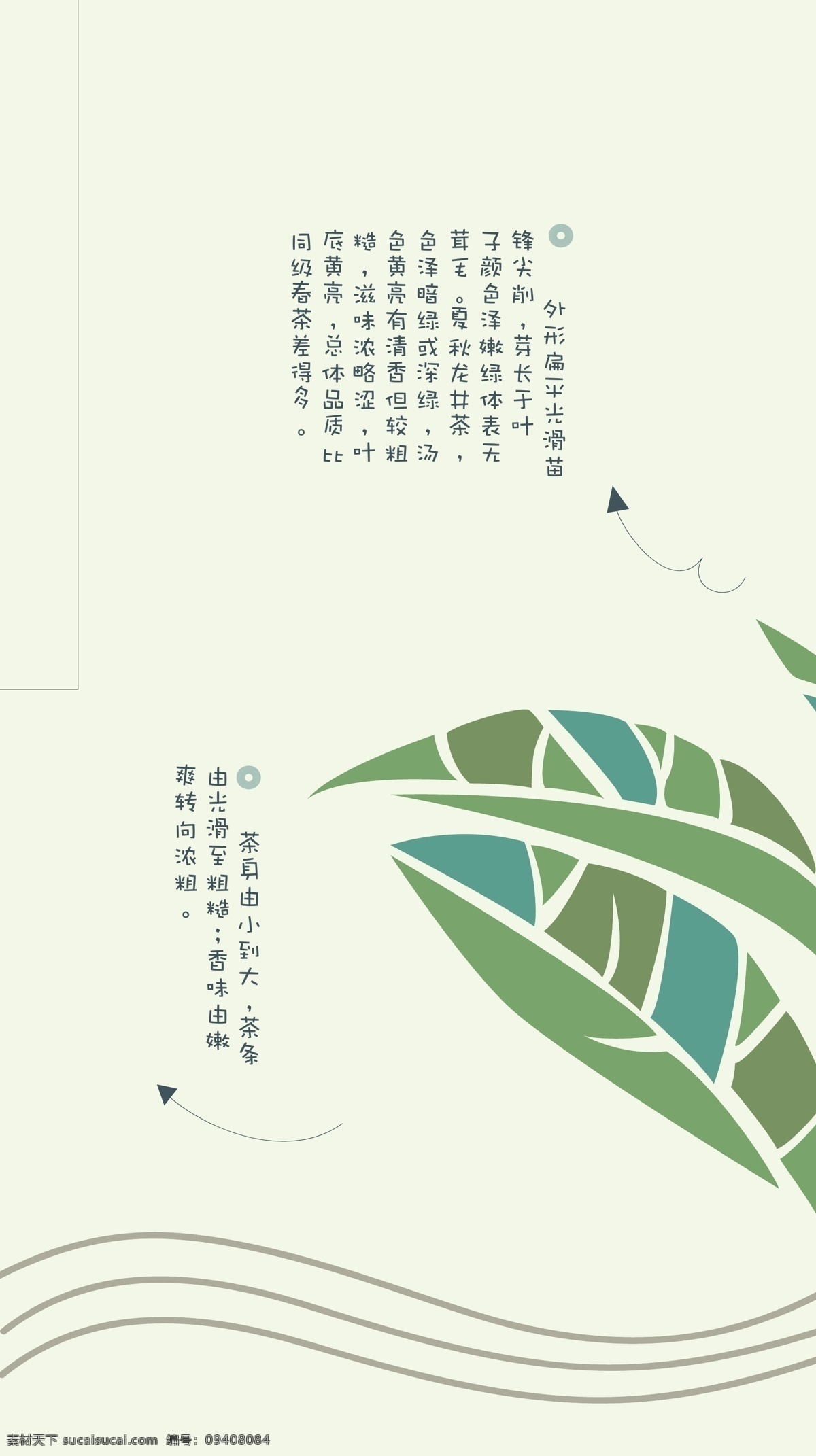 原创茶叶折页 茶叶 折页 矢量 白色