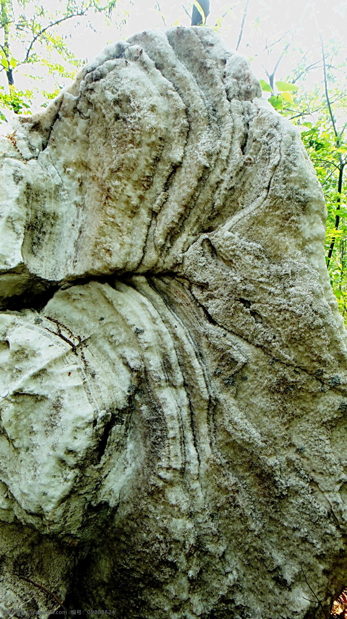 奇石 翅膀 雕塑 花纹 建筑园林 奇石的翅膀 巨石 psd源文件