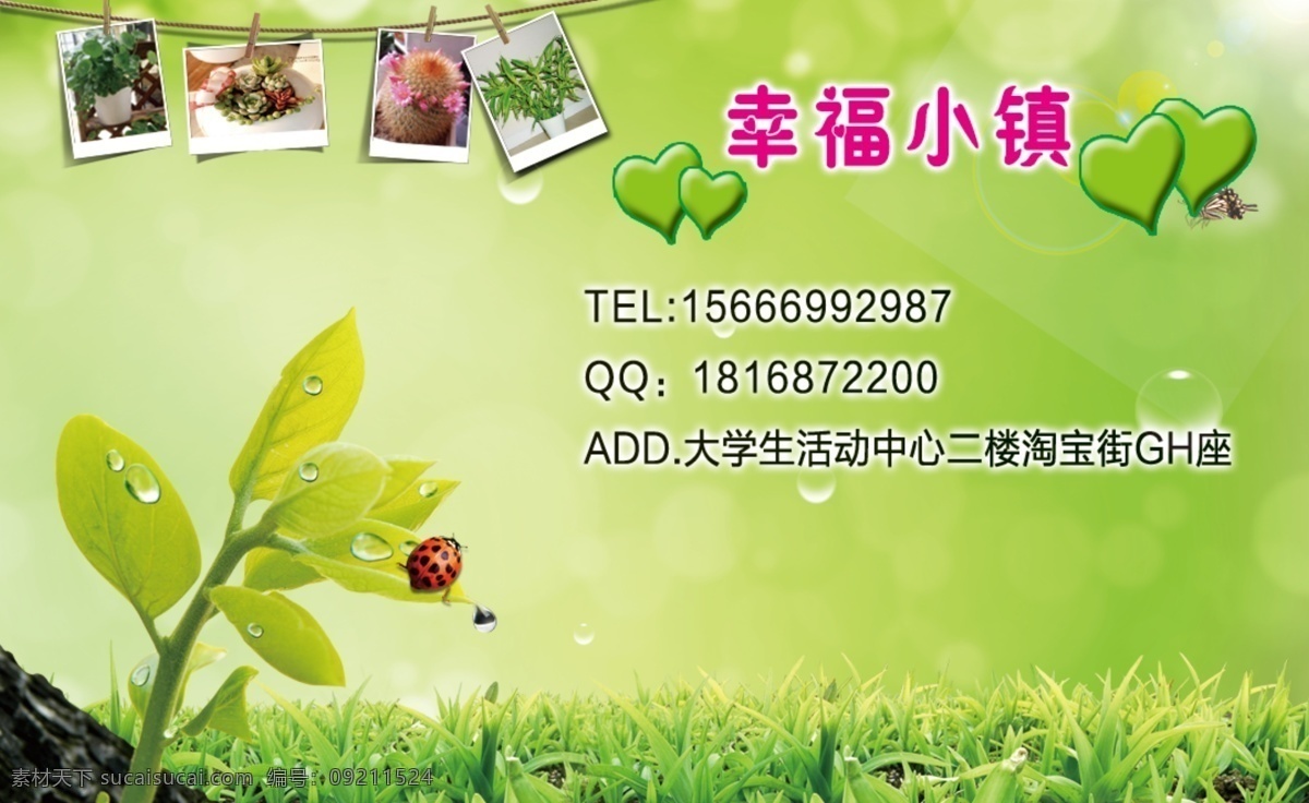 幸福 小镇 名片 草地 广告设计模板 昆虫 露珠 名片卡片 心形 叶子 源文件 幸福小镇名片 清新小盆栽 生物世界