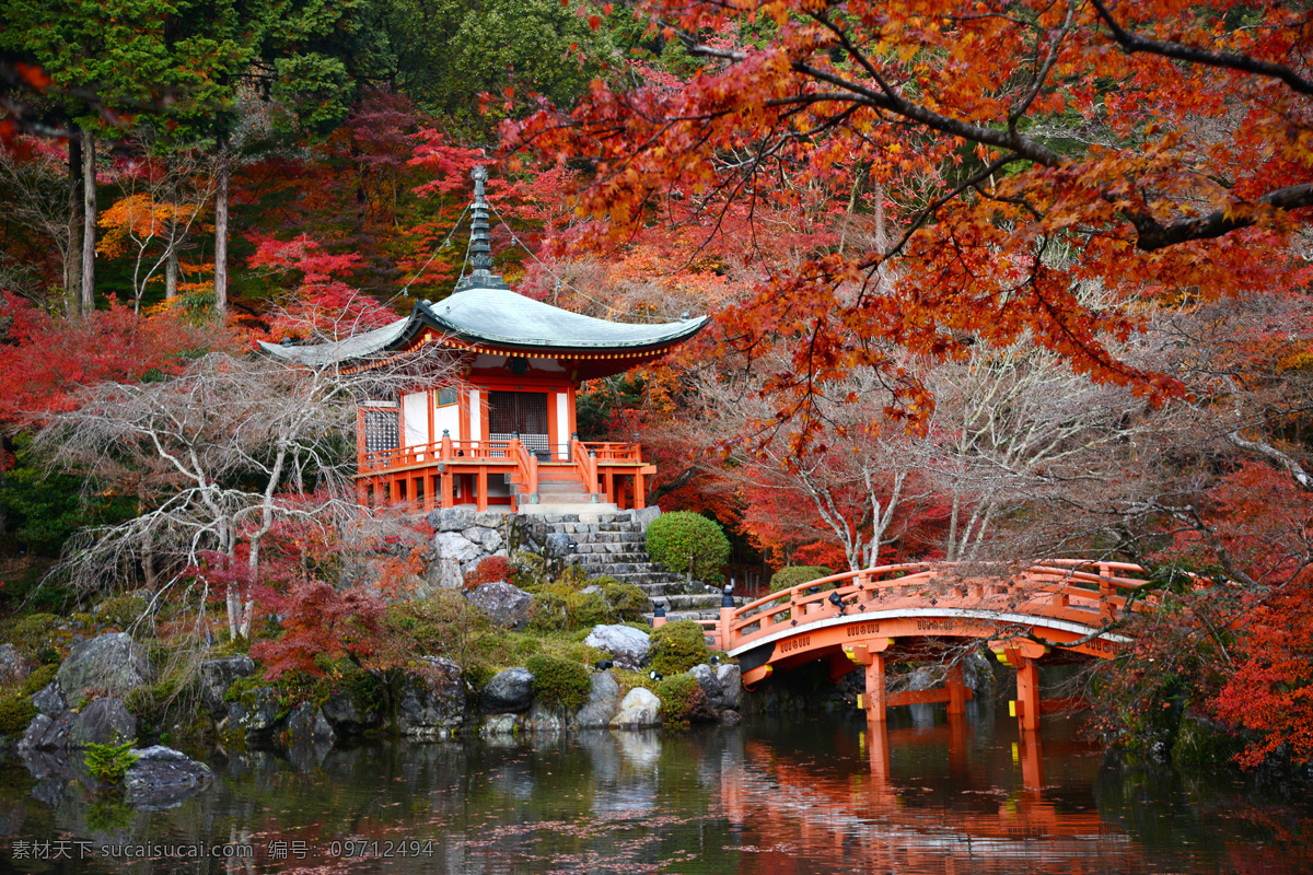 日本 京都市 庭园 池塘 秋季 小雁 塔桥 小雁塔桥 树木 树 小亭子 枫树 枫叶 落叶 河流 自然景观 自然风景