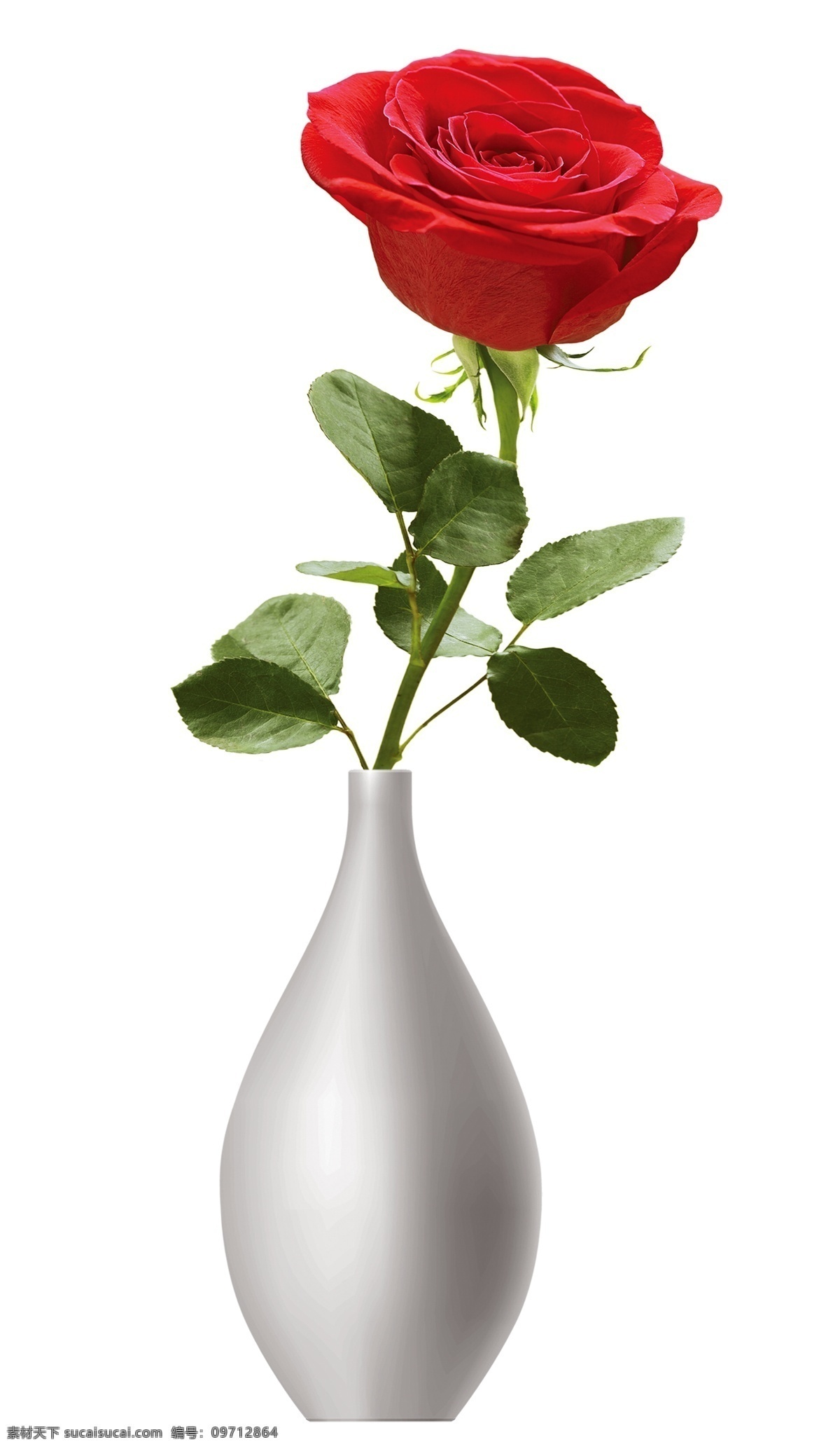 卡通花瓶 手绘花盆 花瓶插画 花瓶速写 花瓶绘画 画画花瓶 花卉 花朵 花瓶
