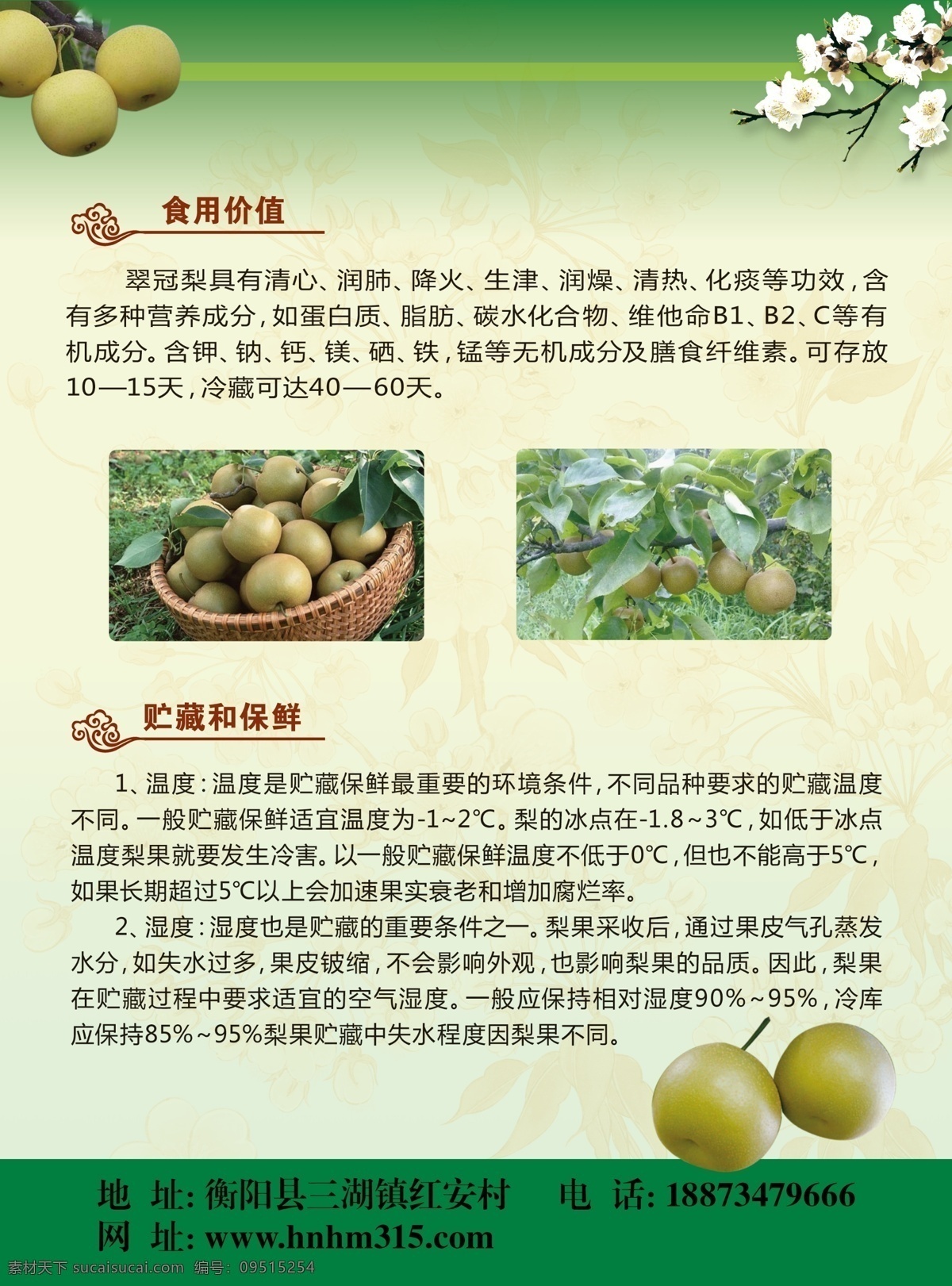 翠冠梨 梨树 食用价值 广告设计模板 源文件