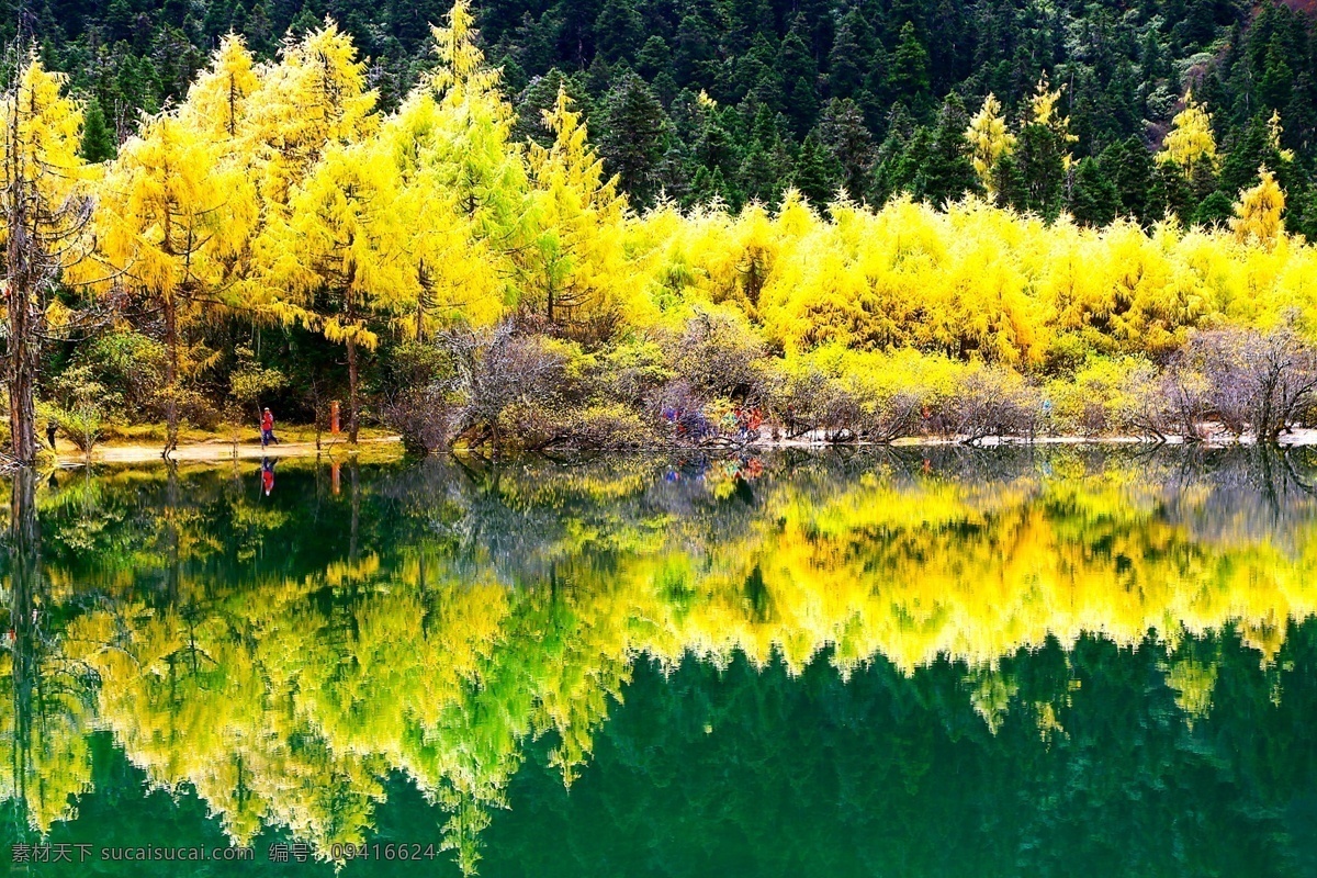 湖边秋景 湖泊 秋景 秋意 层林尽染 树林 森林 青山绿水 自然风光 山水风景 大自然 美景 风光 风景 毕棚沟 川西 九寨 羌族 四川 阿坝州 自然风景 山水 田园 自然景观
