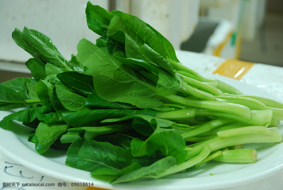 青菜 新鲜蔬菜 菜叶 绿色蔬菜 食材 餐饮食材图片 餐饮美食 食物原料