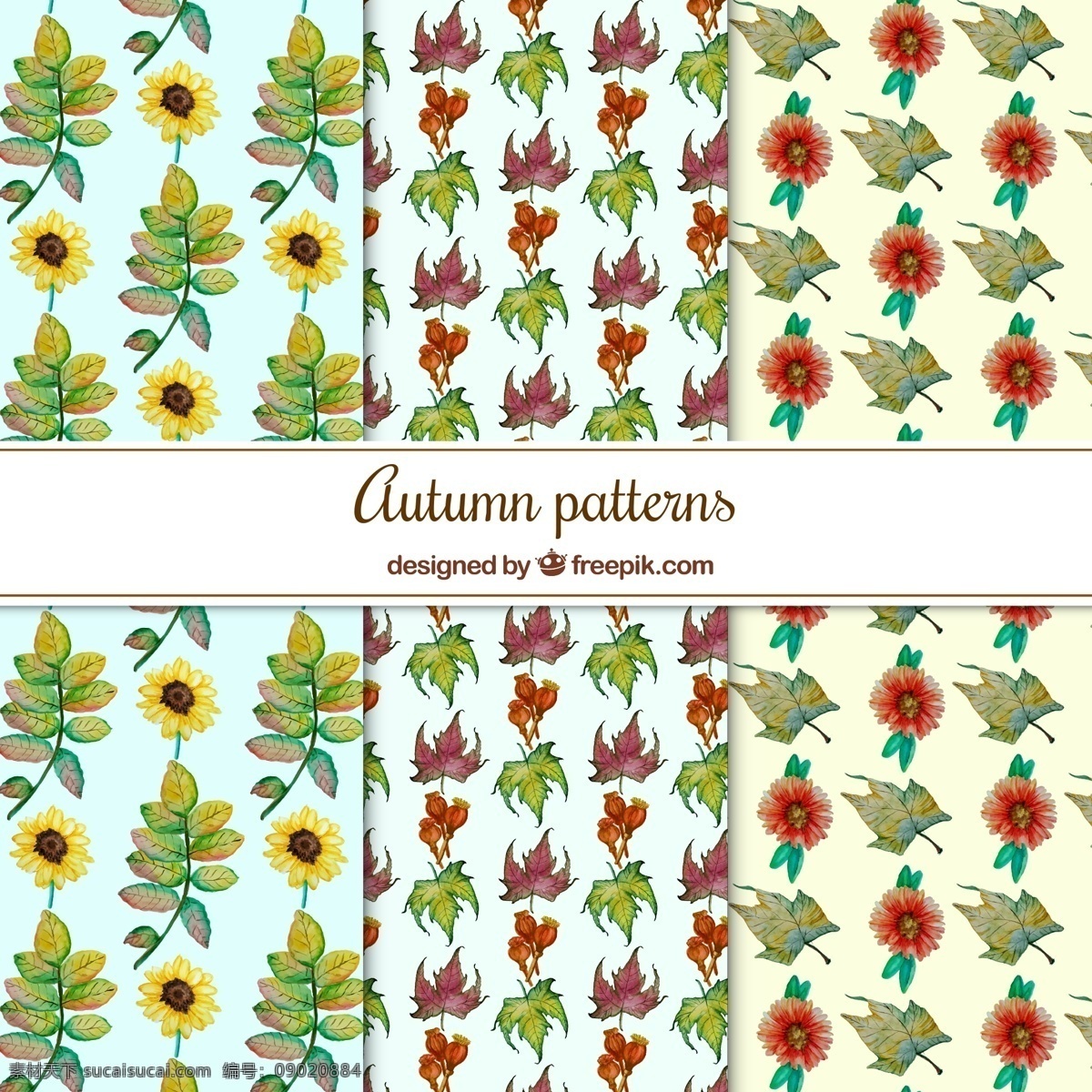 水彩 秋季 图案 背景 花卉 树叶 自然 可爱 秋天 五颜六色 花卉图案 装饰 花背景 无缝图案 自然背景