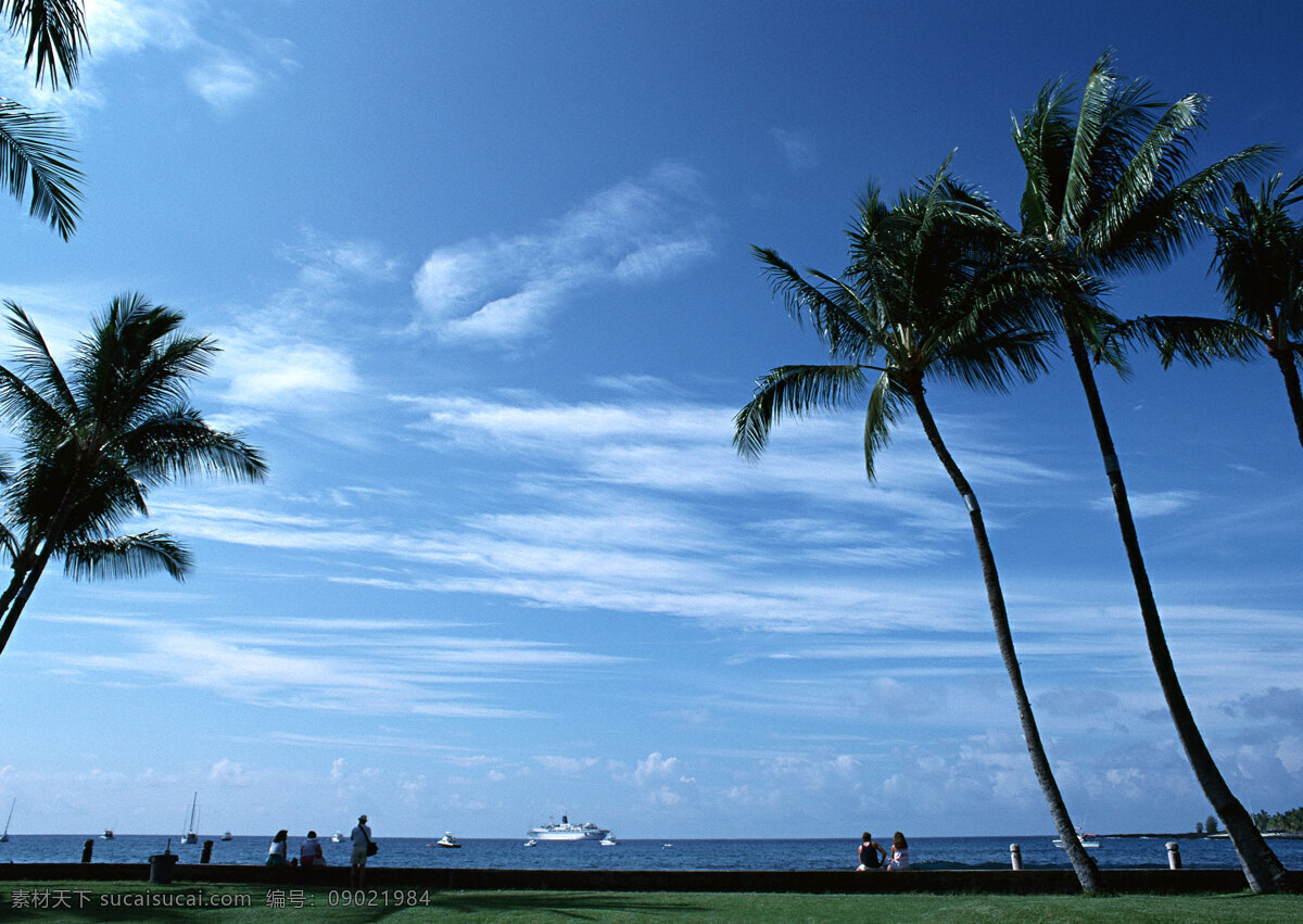 夏威夷 风景摄影 夏威夷风光 海洋 海滩 沙滩 避暑胜地 海边 树木 夏天 夏日风情 清爽一夏 度假旅游 蔚蓝天空 国外旅游 旅游摄影 海洋海边 自然景观 蓝色