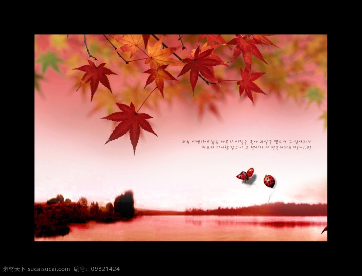 盛秋 原创 分层 风景 枫叶 封面 湖景 画册 美景 瓢虫 盛秋原创 源文件库 其他画册封面