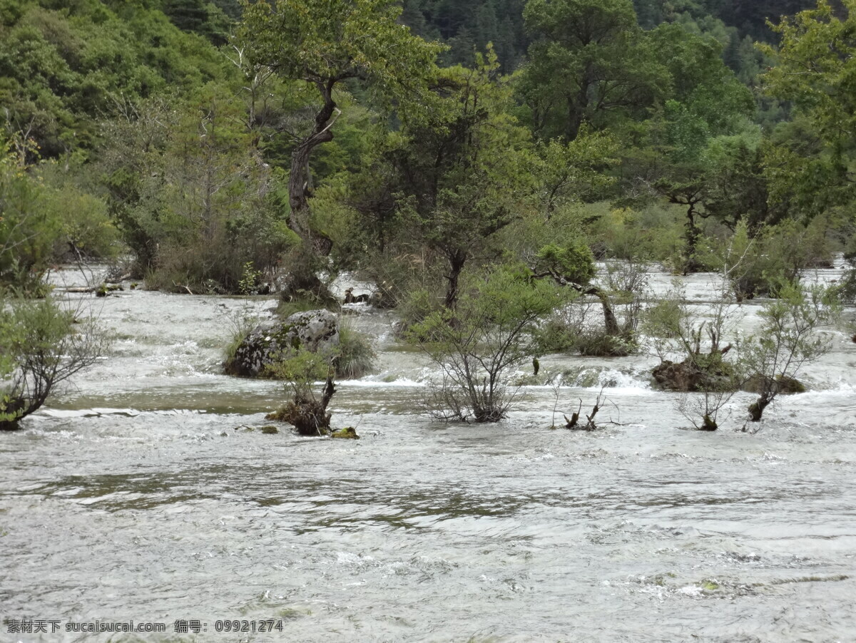 九寨沟风光 四川 九寨沟 盆景滩 火花海 溪流 湖水 青山绿水 树丛 树林 山林 森林 森林公园 生态旅游 山水风景 国内旅游 旅游摄影