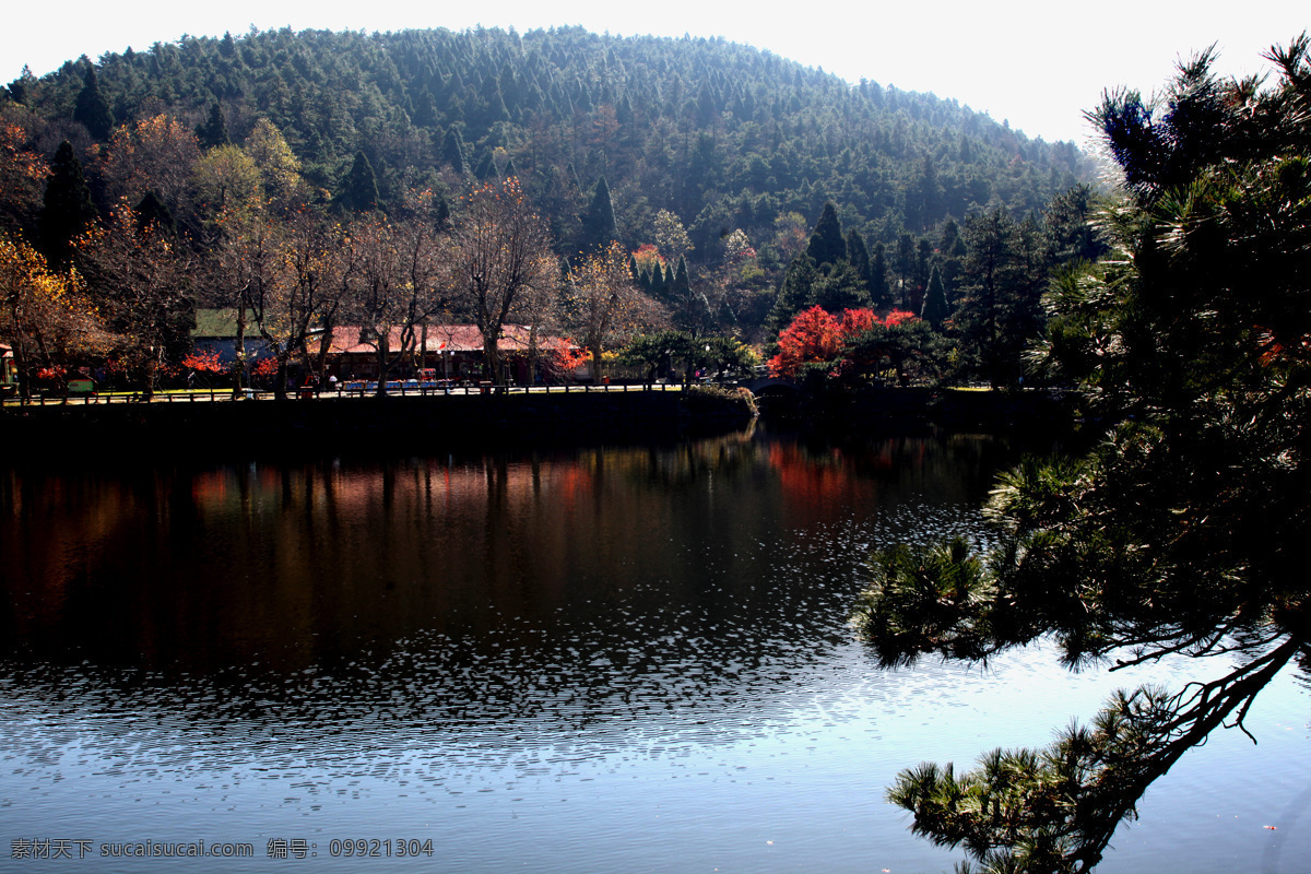 庐山山水风光 庐山 水面 红叶 松树 水中倒影 自然风景 旅游摄影