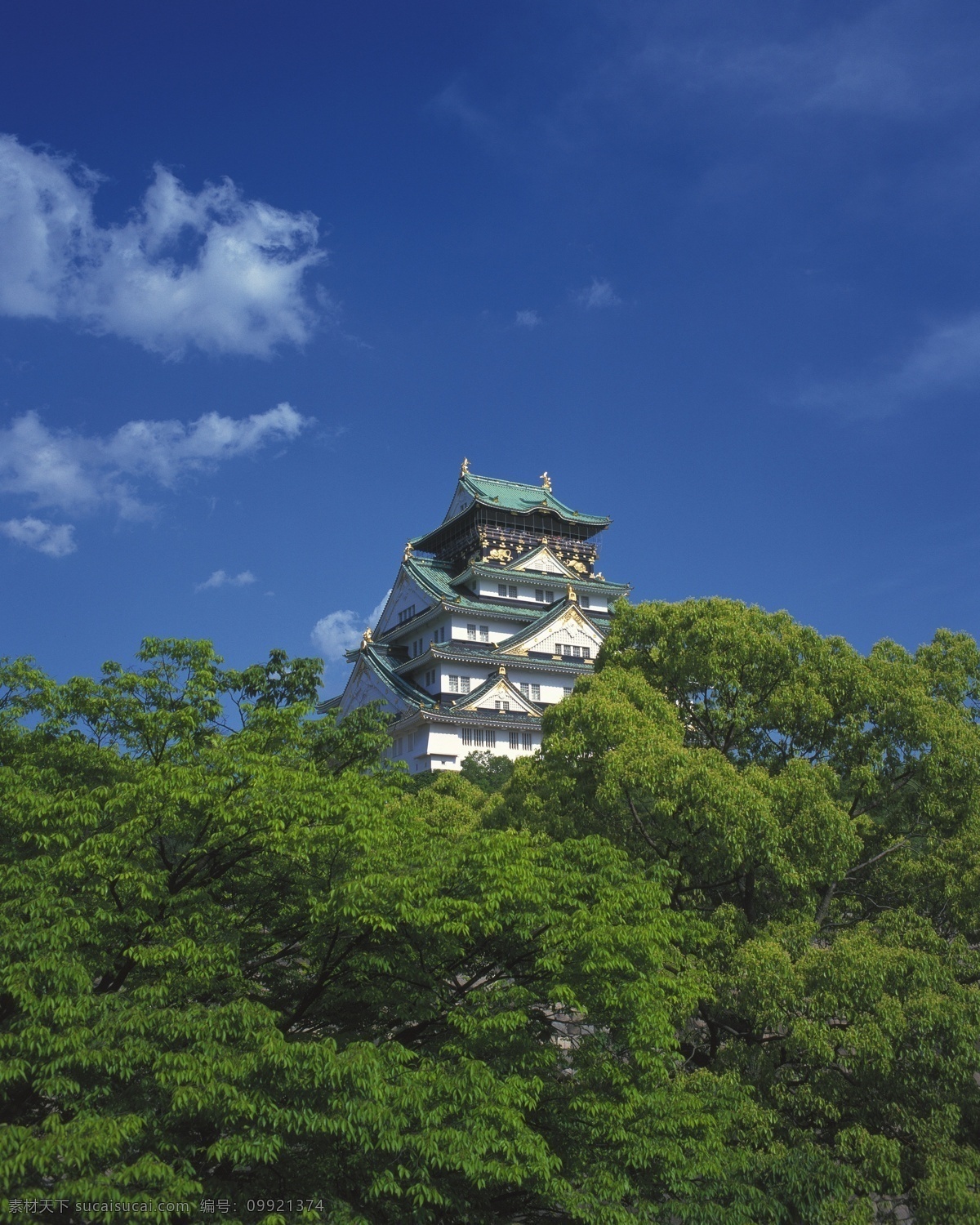 日本神社建筑 建筑 国外建筑 日本 神社 国外城市 人文景观 旅游摄影