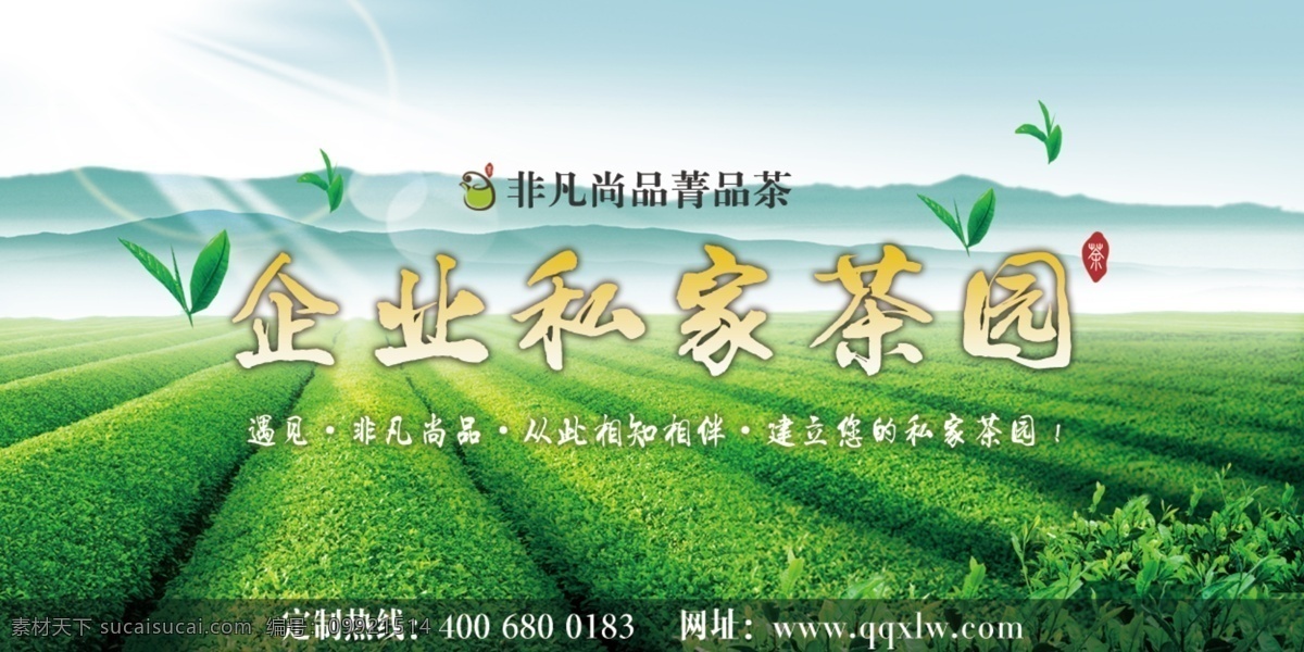 茶叶宣传 banner 创意 广告 海报