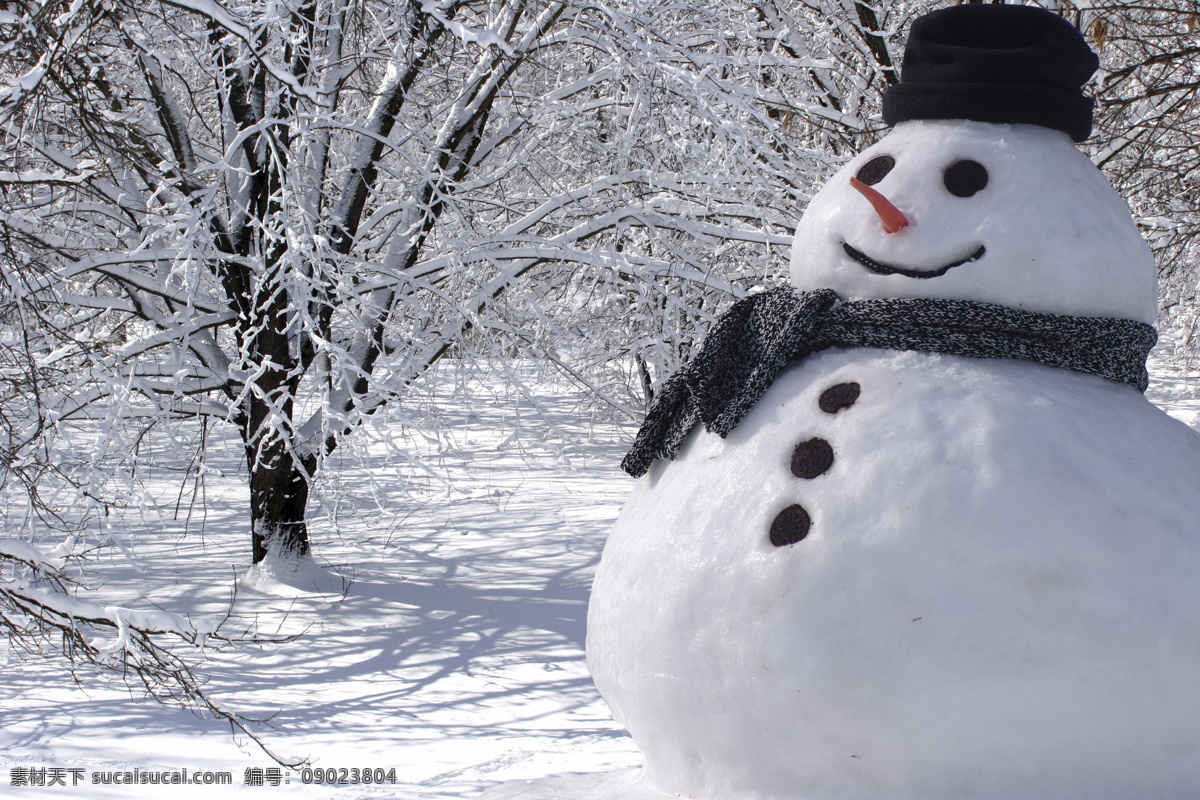 雪地里的雪人 雪人 雪人摄影 雪人素材 冬天 冬季 雪景 景观 底纹背景 圣诞节 自然风景 自然景观 灰色