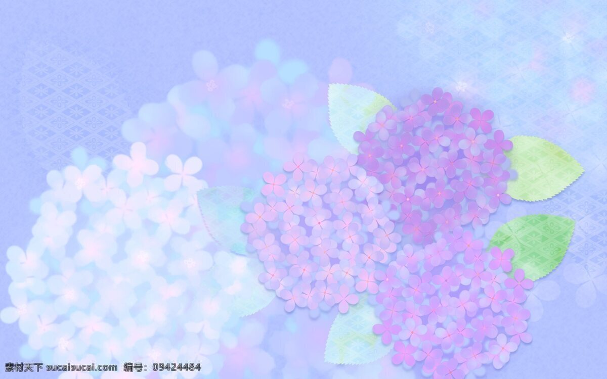 紫色 背景图片 花朵背景图片 唯美 时尚 经典