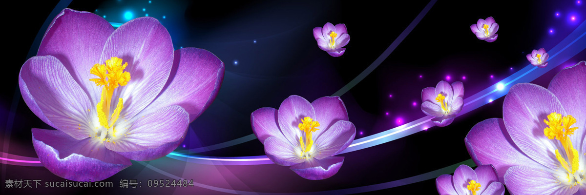 黑夜 闪耀 紫色 花朵 装饰画 花蕾