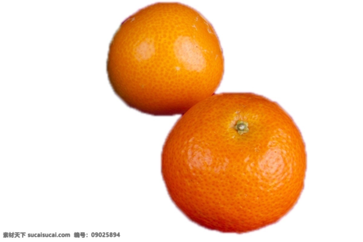 两个 颜色 漂亮 大 橘子 水果 营养 香甜 食物 绿色 维生素 可口 食品 甘甜 汁多 漂亮颜色