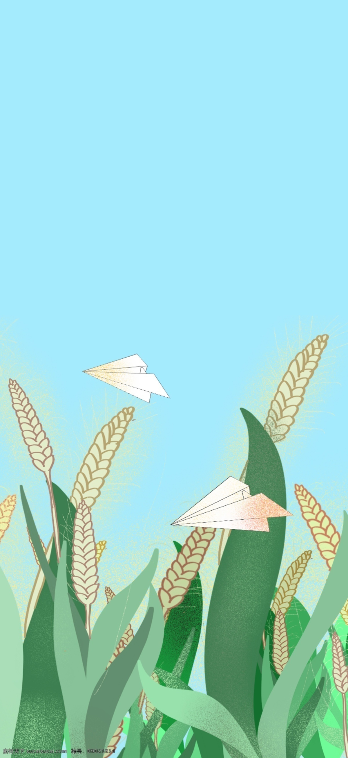 二十四节气 小满 麦穗 插画 背景 绿色背景 植物背景 唯美 草地背景 绿地背景 蓝天白云 山水风景