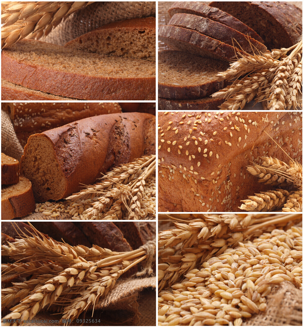 小麦 食物 拼图 面食 面包 面包片 馒头 种子 稻谷 其他类别 生活百科