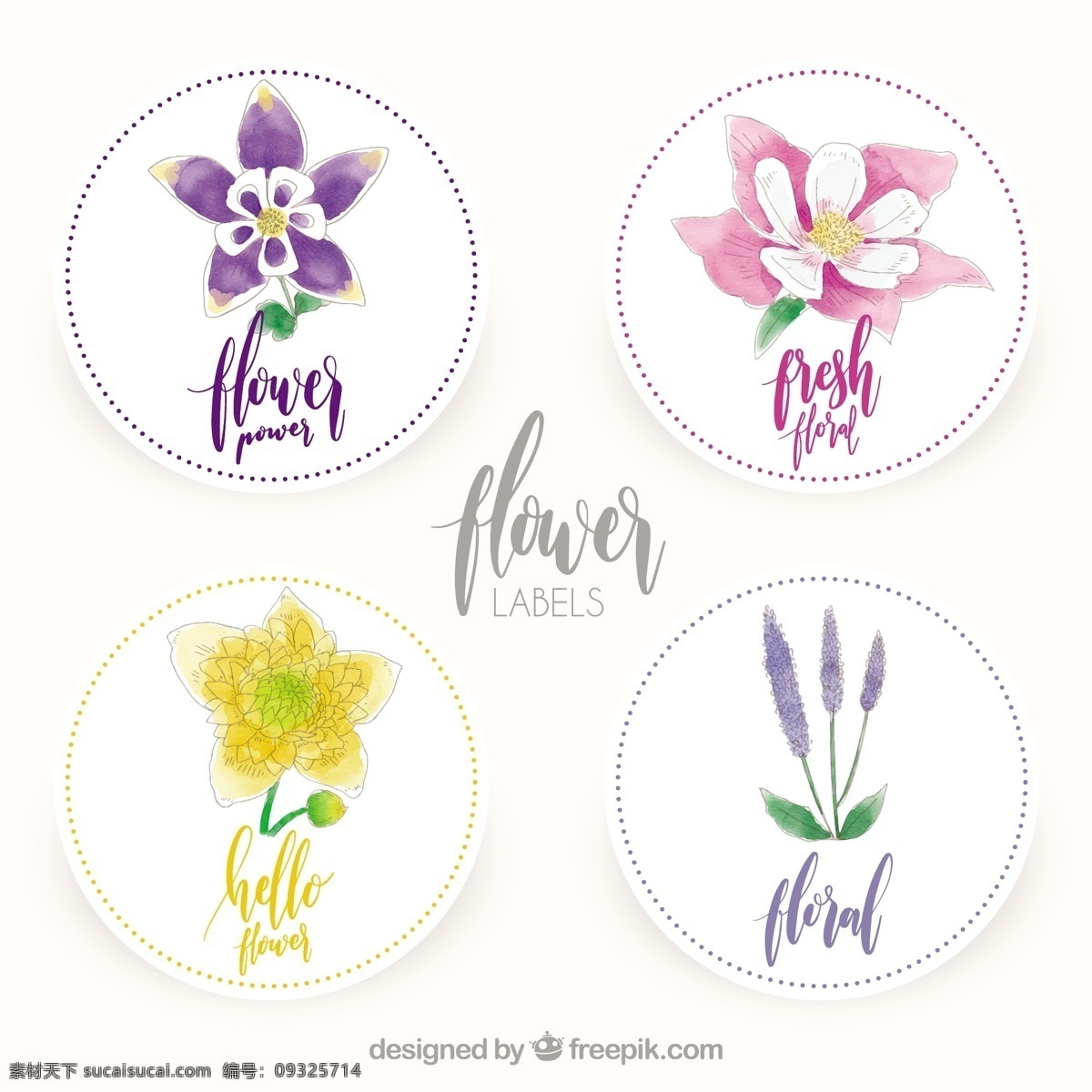 四 水彩 花卉 圆形 标签 四个 水彩花卉 圆形标签