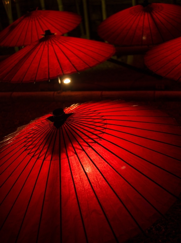红色的油纸伞 油纸伞 古风油伞 古风 红伞 文化艺术 传统文化