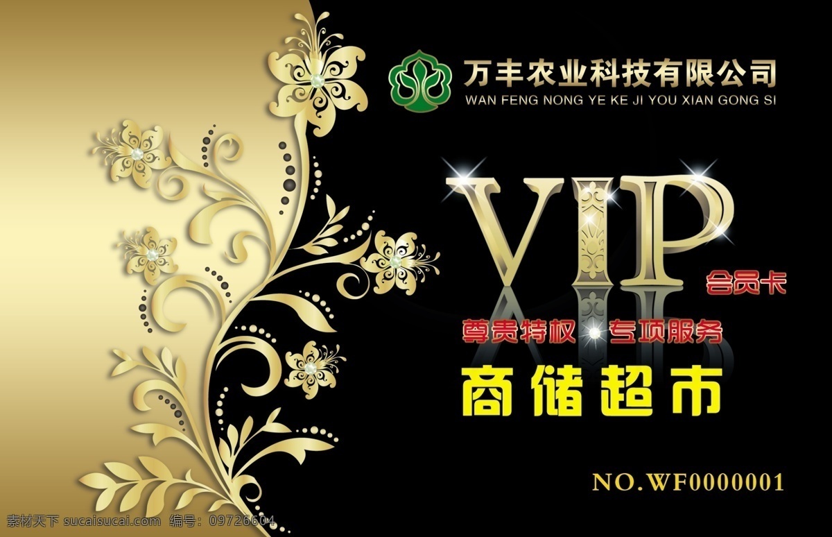 vip卡图片 vip卡 名片 精美vip卡 会员卡 精美名片